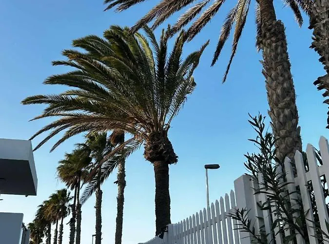 Maypa 1 Calma * San Bartolomé